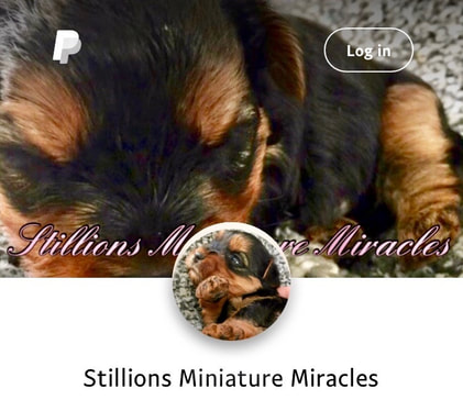 Deposit & Pricing - Stillions Miniature Miracles